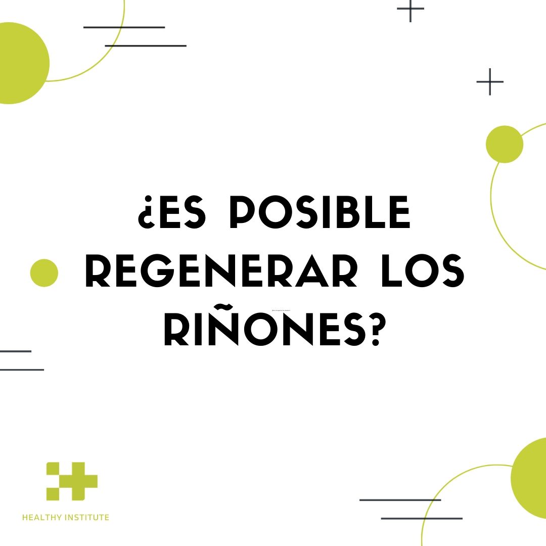 es-posible-regenerar-los-riñores-regeneracion-renal