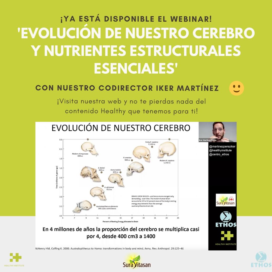 evolucion de nuestro cerebro y nutrientes estructurales esenciales