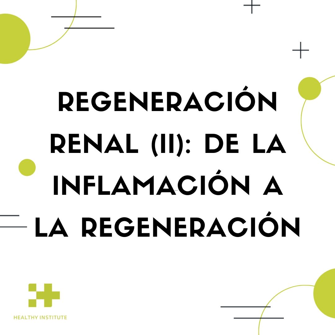 regeneracion renal ii de la inflamacion a la regeneracion