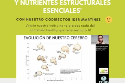 evolucion de nuestro cerebro y nutrientes estructurales esenciales evolucion de nuestro cerebro y nutrientes estructurales esenciales
